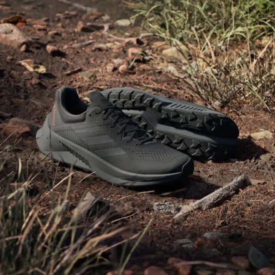 Кросівки Adidas Terrex Soulstride Flow GX1822