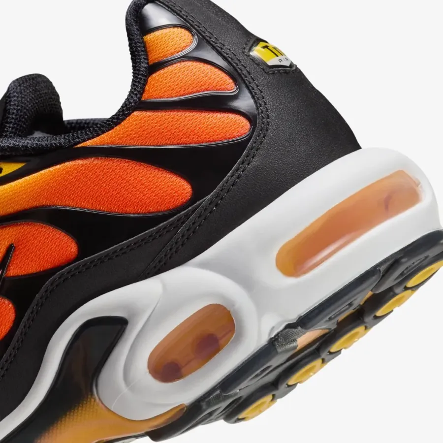 Кросівки Nike Air Max Plus Sunset HF0552-001