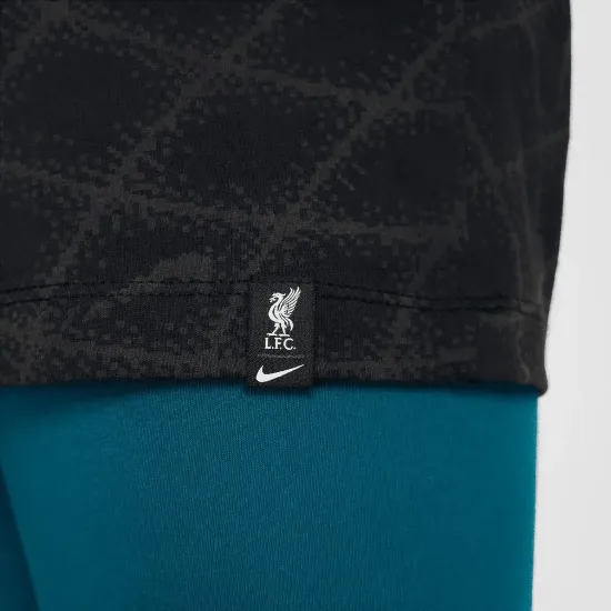 Футболка Nike Liverpool FC Play Tee HF0909-010
