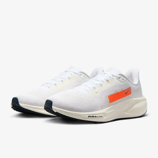 Кросівки Nike Pegasus 41 PQ HF4300-100
