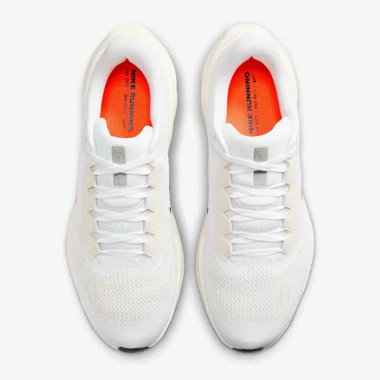 Кросівки Nike Pegasus 41 PQ HF4300-100