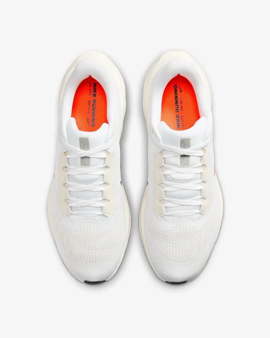 Кросівки Nike Pegasus 41 PQ HF4300-100