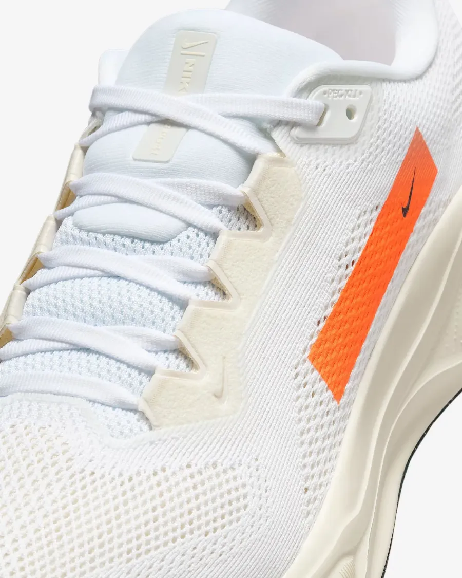 Кросівки Nike Pegasus 41 PQ HF4300-100