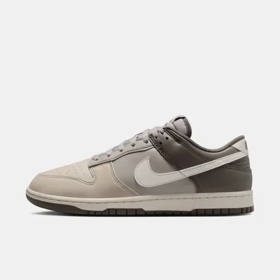 Кросівки Nike Dunk Low Retro HF5441-009