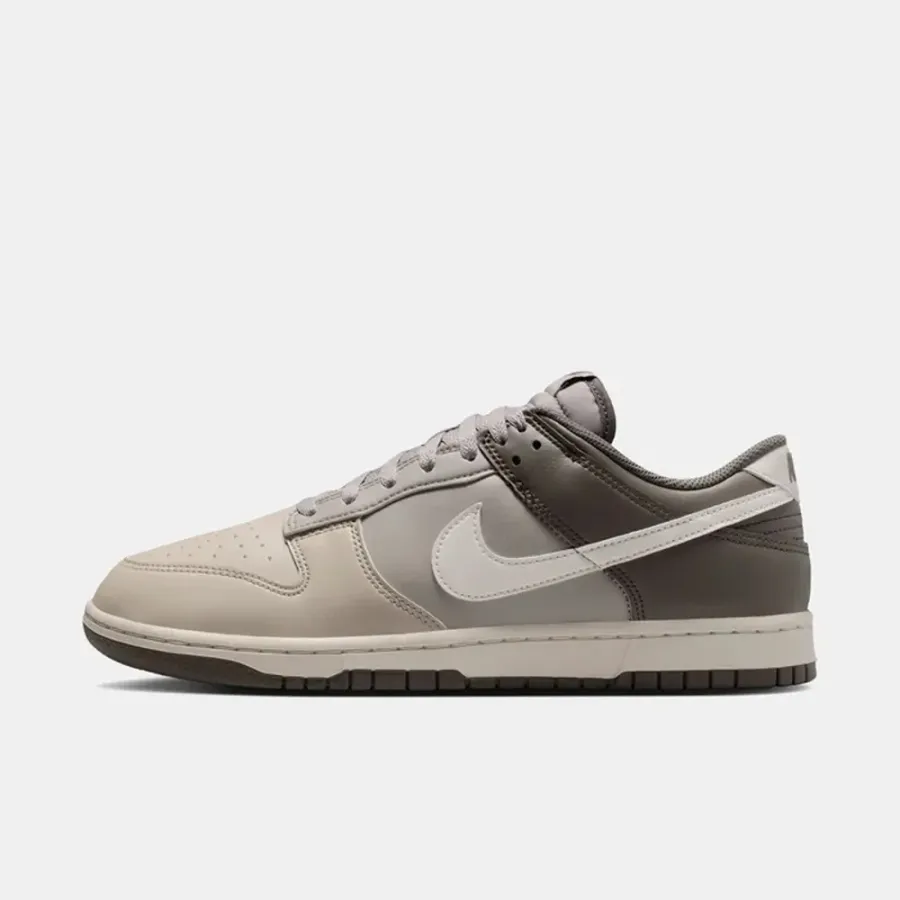 Кросівки Nike Dunk Low Retro HF5441-009