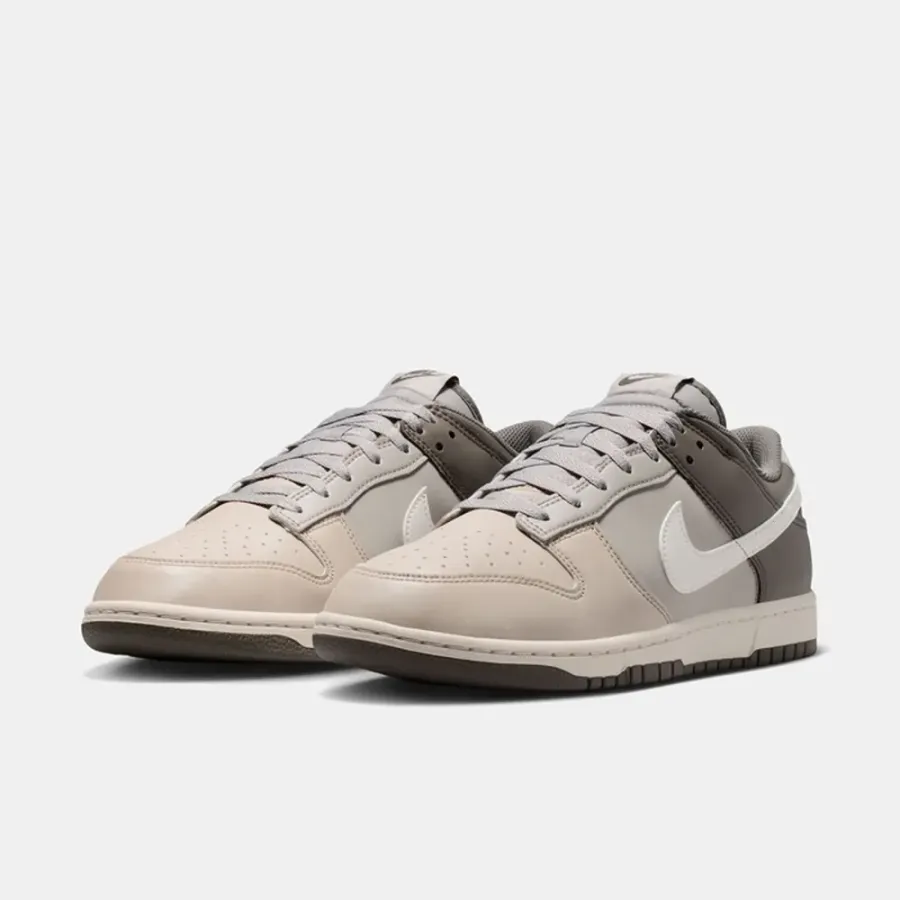 Кросівки Nike Dunk Low Retro HF5441-009