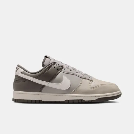 Кросівки Nike Dunk Low Retro HF5441-009