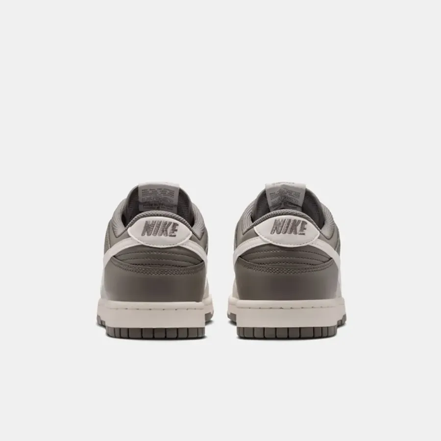 Кросівки Nike Dunk Low Retro HF5441-009