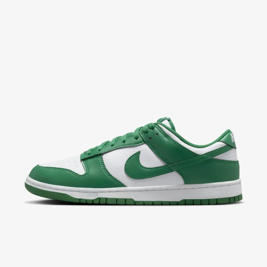 Кросівки Nike Dunk Low Retro HF5441-101