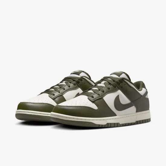 Кросівки Nike Dunk Low Retro HF5441-102