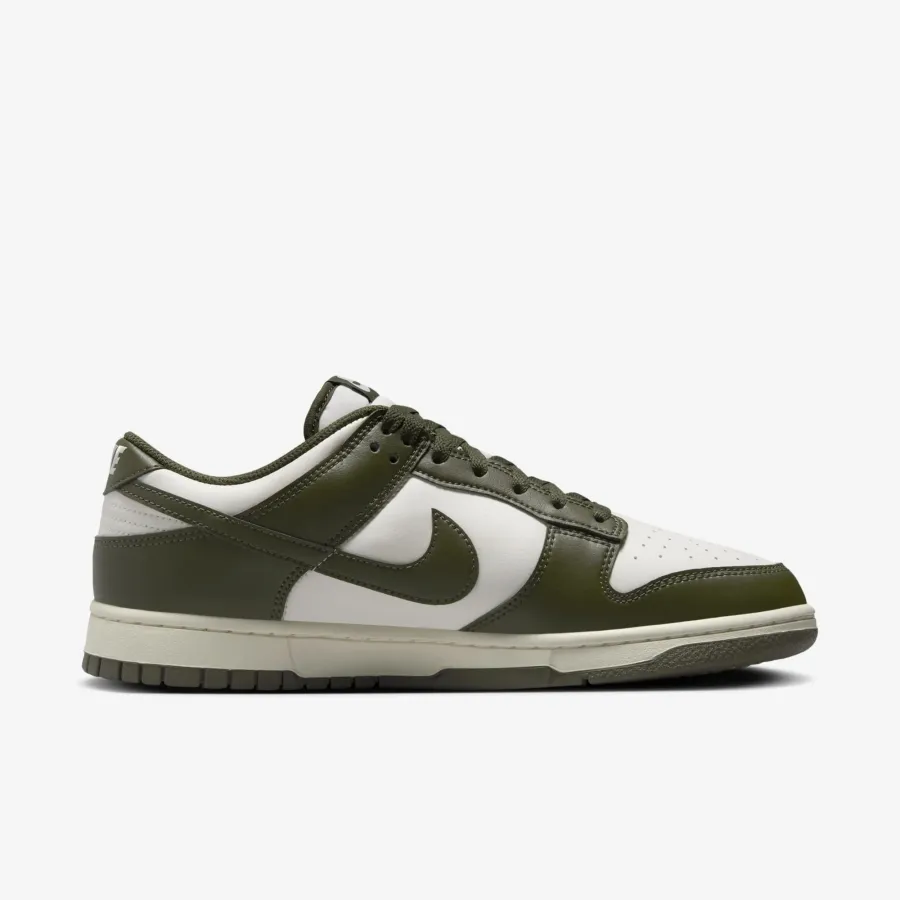 Кросівки Nike Dunk Low Retro HF5441-102