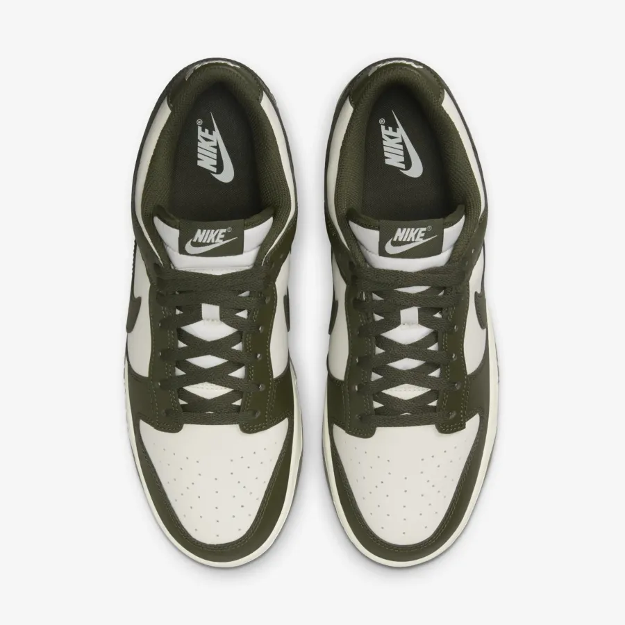 Кросівки Nike Dunk Low Retro HF5441-102