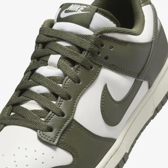 Кросівки Nike Dunk Low Retro HF5441-102