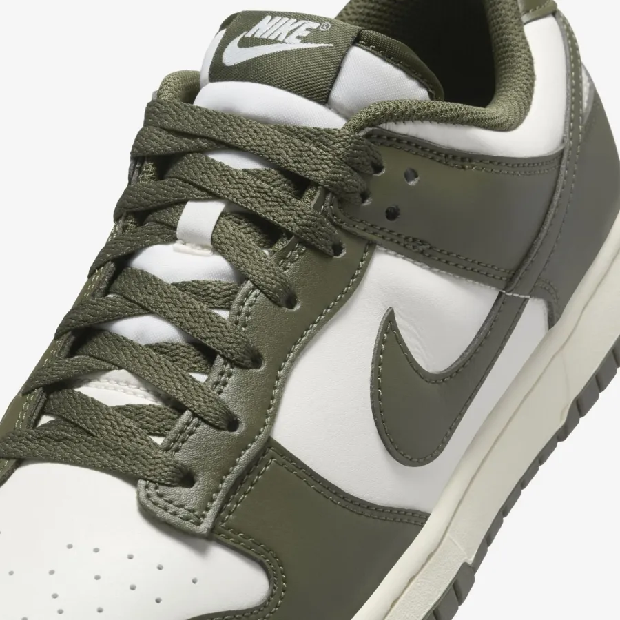 Кросівки Nike Dunk Low Retro HF5441-102