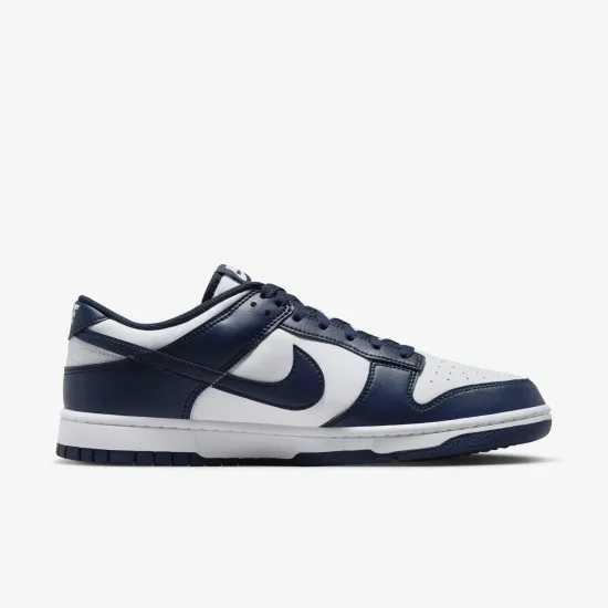 Кросівки Nike Dunk Low Retro HF5441-107