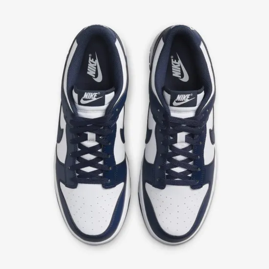 Кросівки Nike Dunk Low Retro HF5441-107