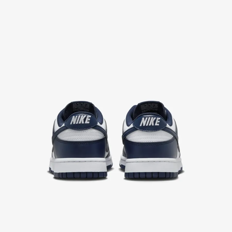 Кросівки Nike Dunk Low Retro HF5441-107