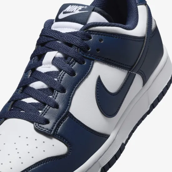Кросівки Nike Dunk Low Retro HF5441-107