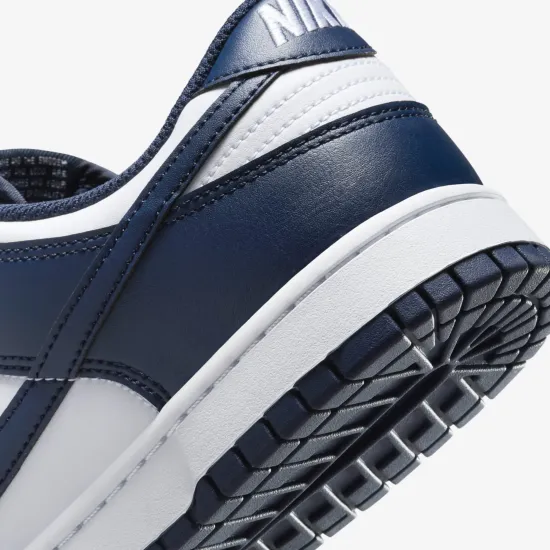 Кросівки Nike Dunk Low Retro HF5441-107