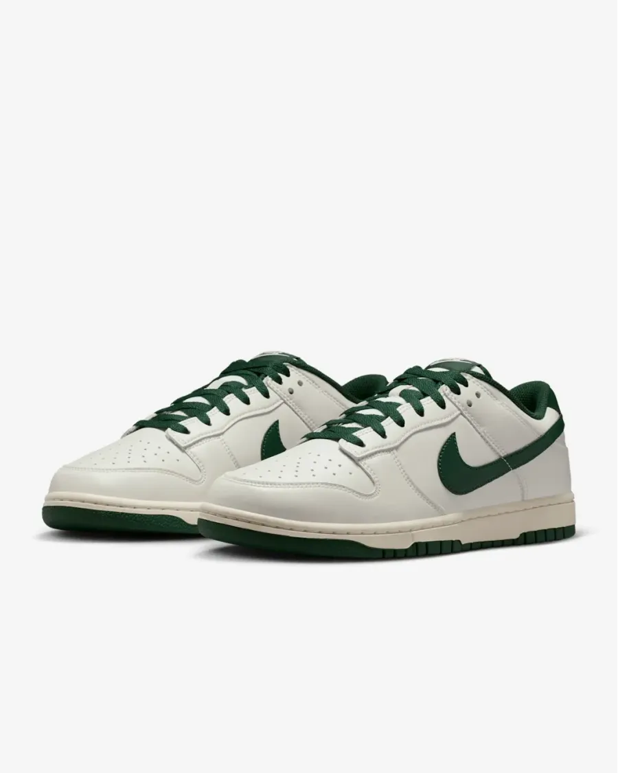 Кросівки Nike Dunk Low Retro HF5441-115