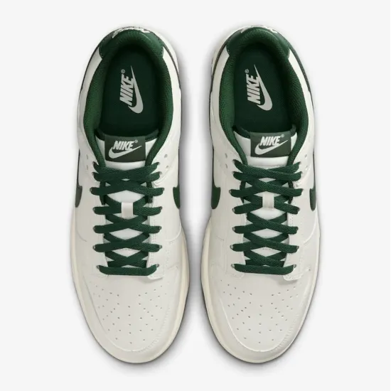 Кросівки Nike Dunk Low Retro HF5441-115