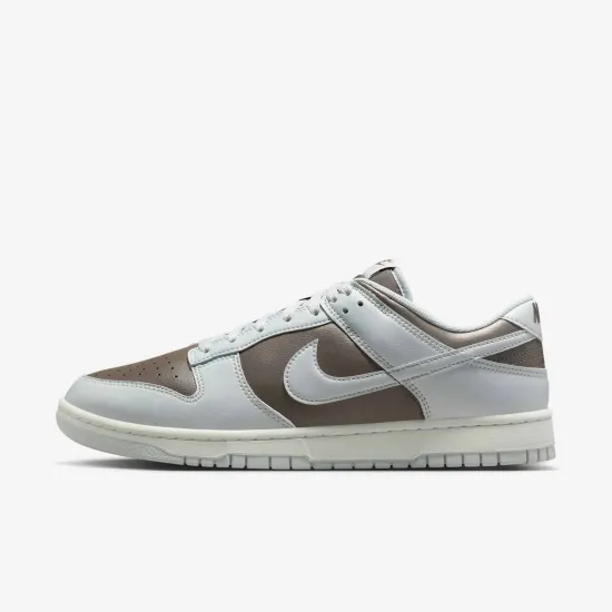 Кросівки Nike Dunk Low Retro HF5441-202