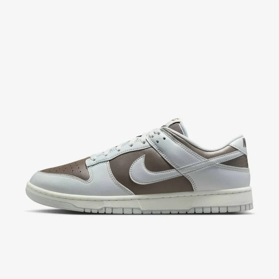 Кросівки Nike Dunk Low Retro HF5441-202