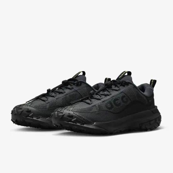 Кросівки Nike ACG Mountain Fly 2 Low Gore-Tex HF6245-001