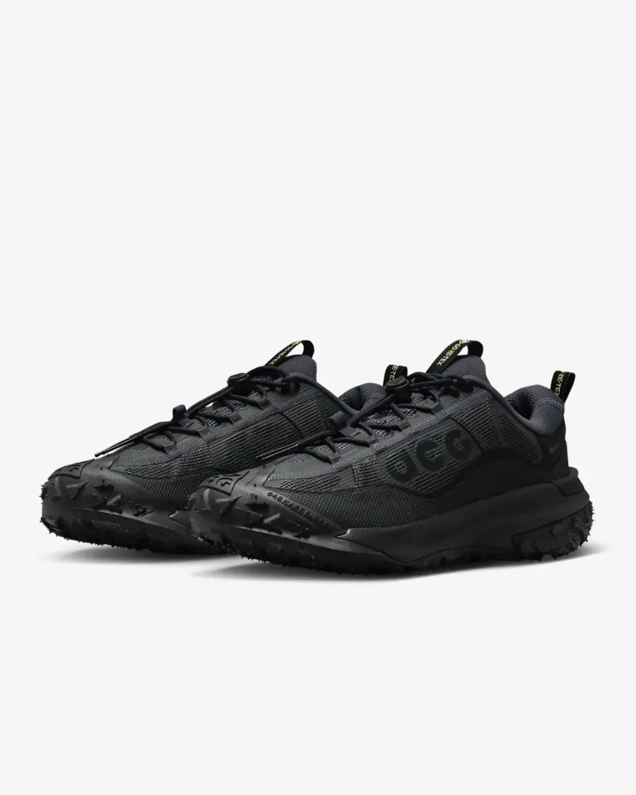Кросівки Nike ACG Mountain Fly 2 Low Gore-Tex HF6245-001