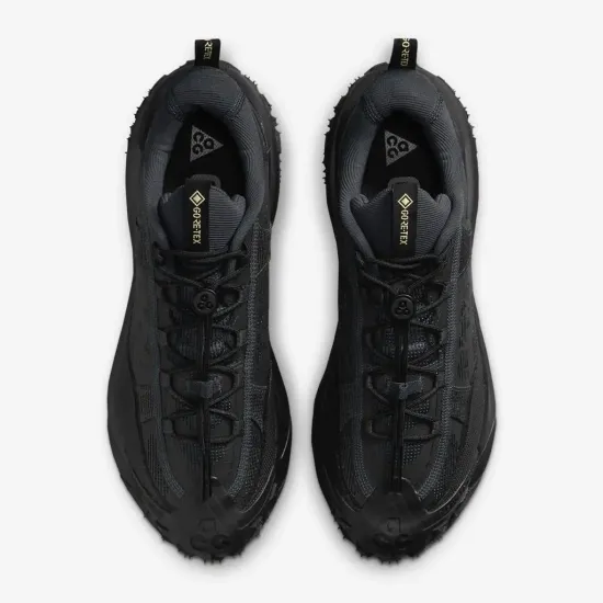 Кросівки Nike ACG Mountain Fly 2 Low Gore-Tex HF6245-001