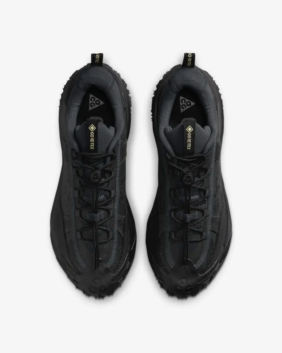 Кросівки Nike ACG Mountain Fly 2 Low Gore-Tex HF6245-001