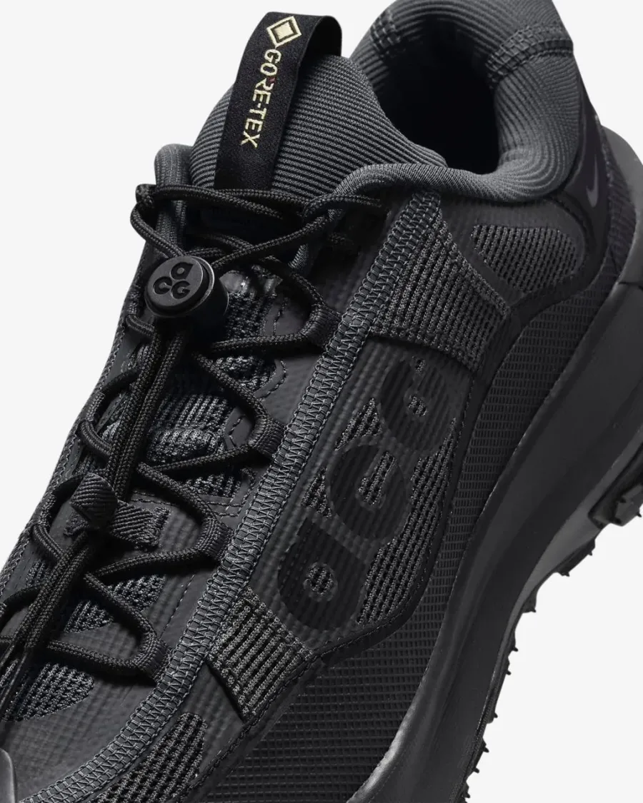 Кросівки Nike ACG Mountain Fly 2 Low Gore-Tex HF6245-001