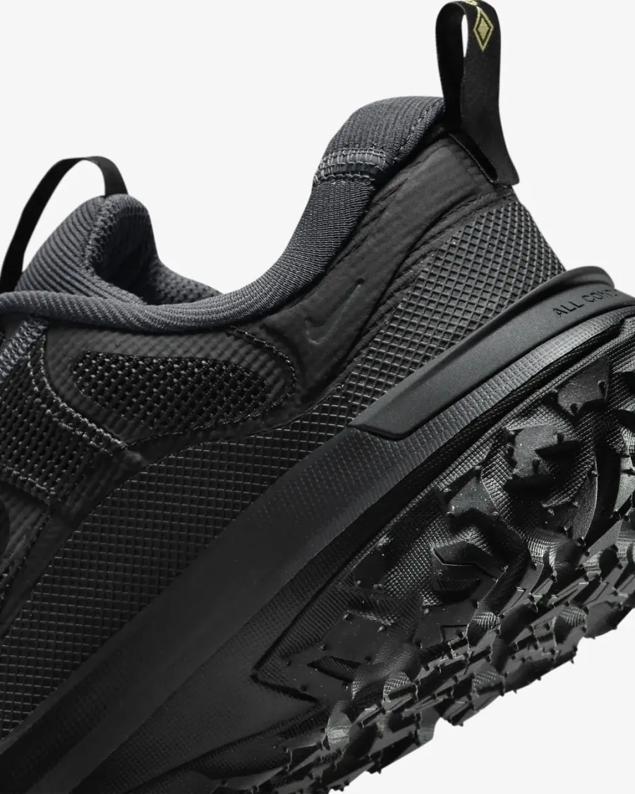 Кросівки Nike ACG Mountain Fly 2 Low Gore-Tex HF6245-001