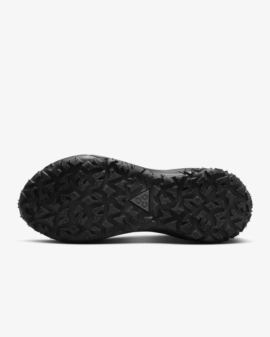 Кросівки Nike ACG Mountain Fly 2 Low Gore-Tex HF6245-001