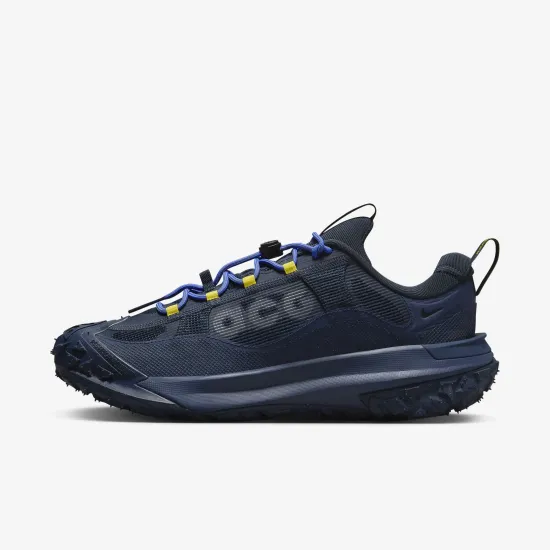 Кросівки Nike ACG Mountain Fly 2 Low Gore-Tex HF6245-400