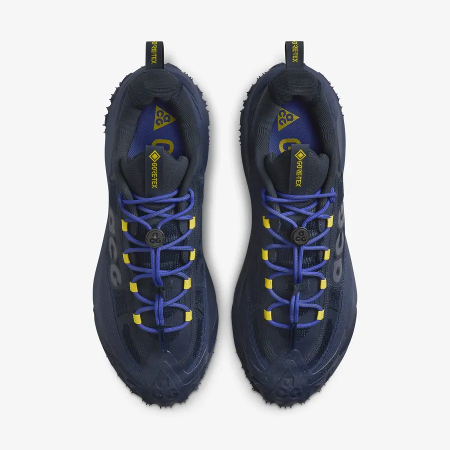 Кросівки Nike ACG Mountain Fly 2 Low Gore-Tex HF6245-400