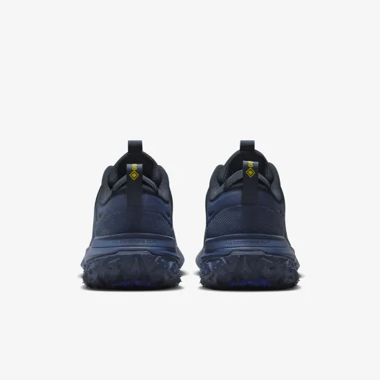 Кросівки Nike ACG Mountain Fly 2 Low Gore-Tex HF6245-400
