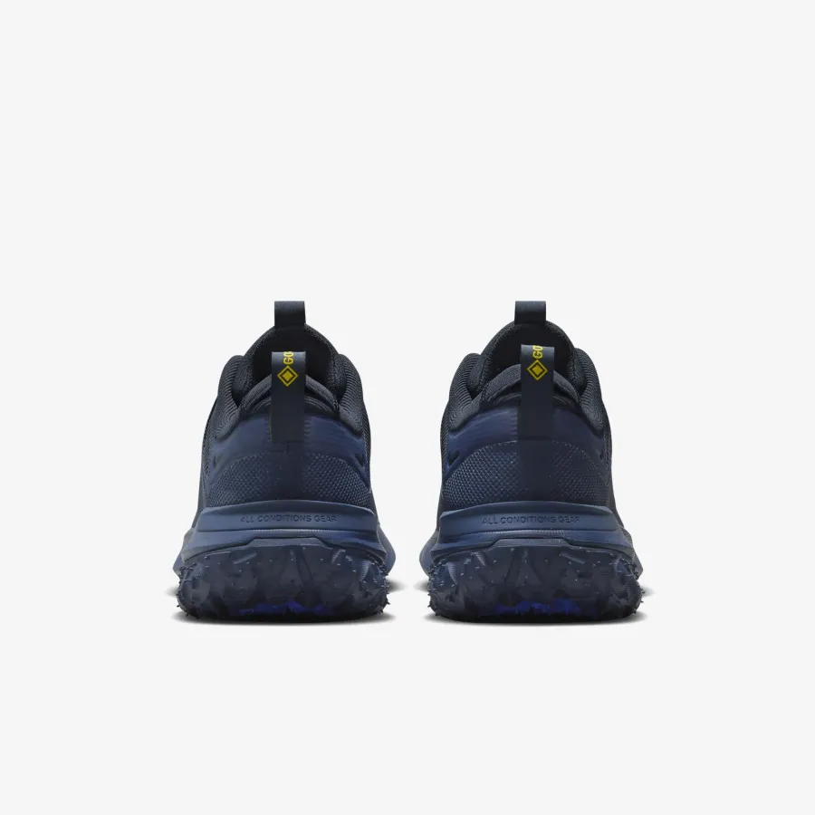 Кросівки Nike ACG Mountain Fly 2 Low Gore-Tex HF6245-400