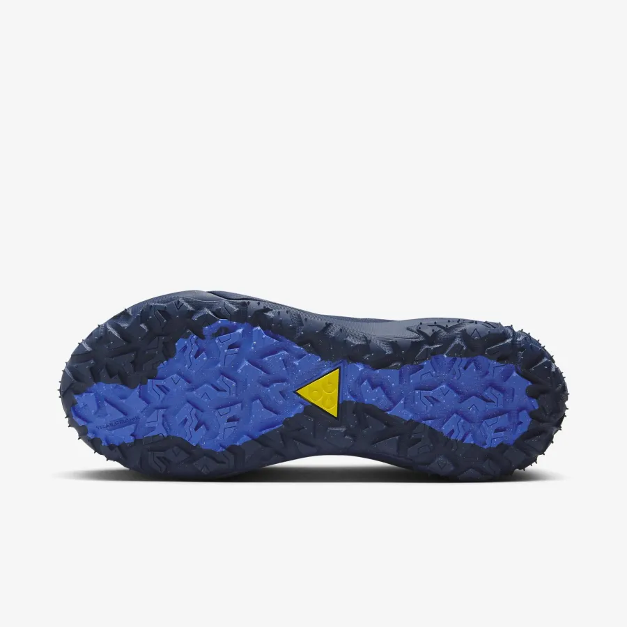 Кросівки Nike ACG Mountain Fly 2 Low Gore-Tex HF6245-400