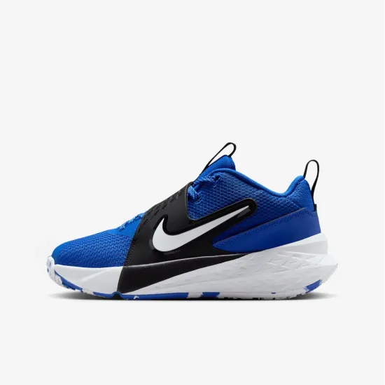 Кросівки Nike Team Hustle D 12 HF6279-400
