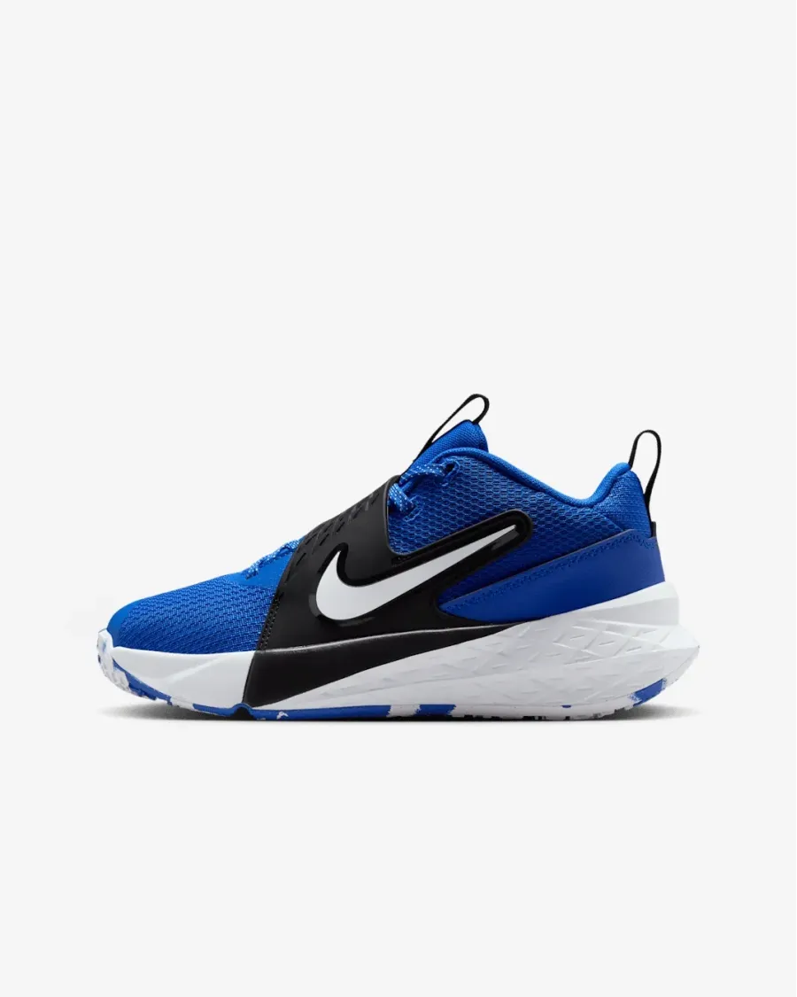 Кросівки Nike Team Hustle D 12 HF6279-400