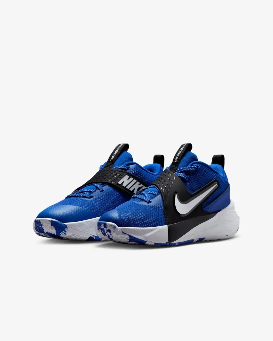 Кросівки Nike Team Hustle D 12 HF6279-400