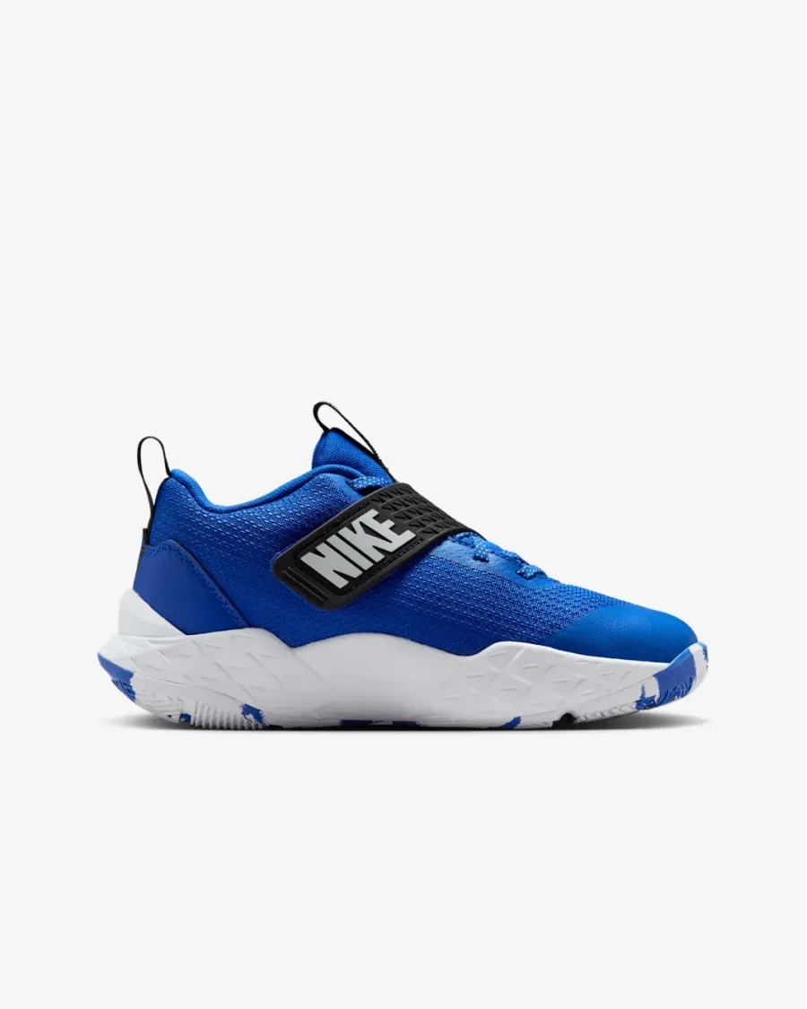 Кросівки Nike Team Hustle D 12 HF6279-400