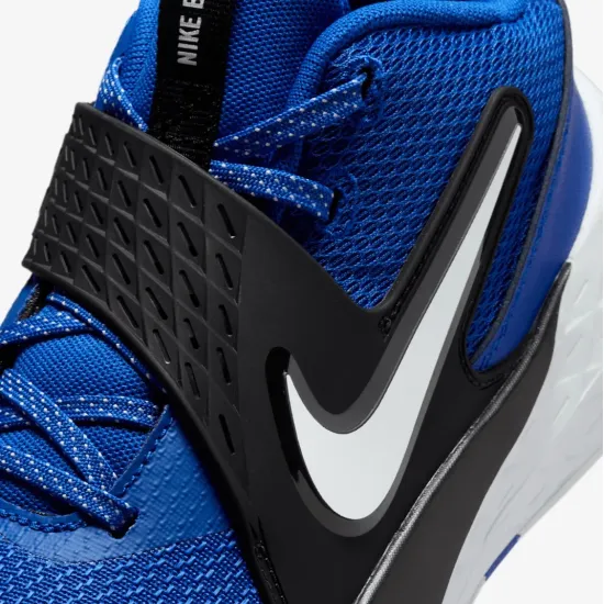 Кросівки Nike Team Hustle D 12 HF6279-400