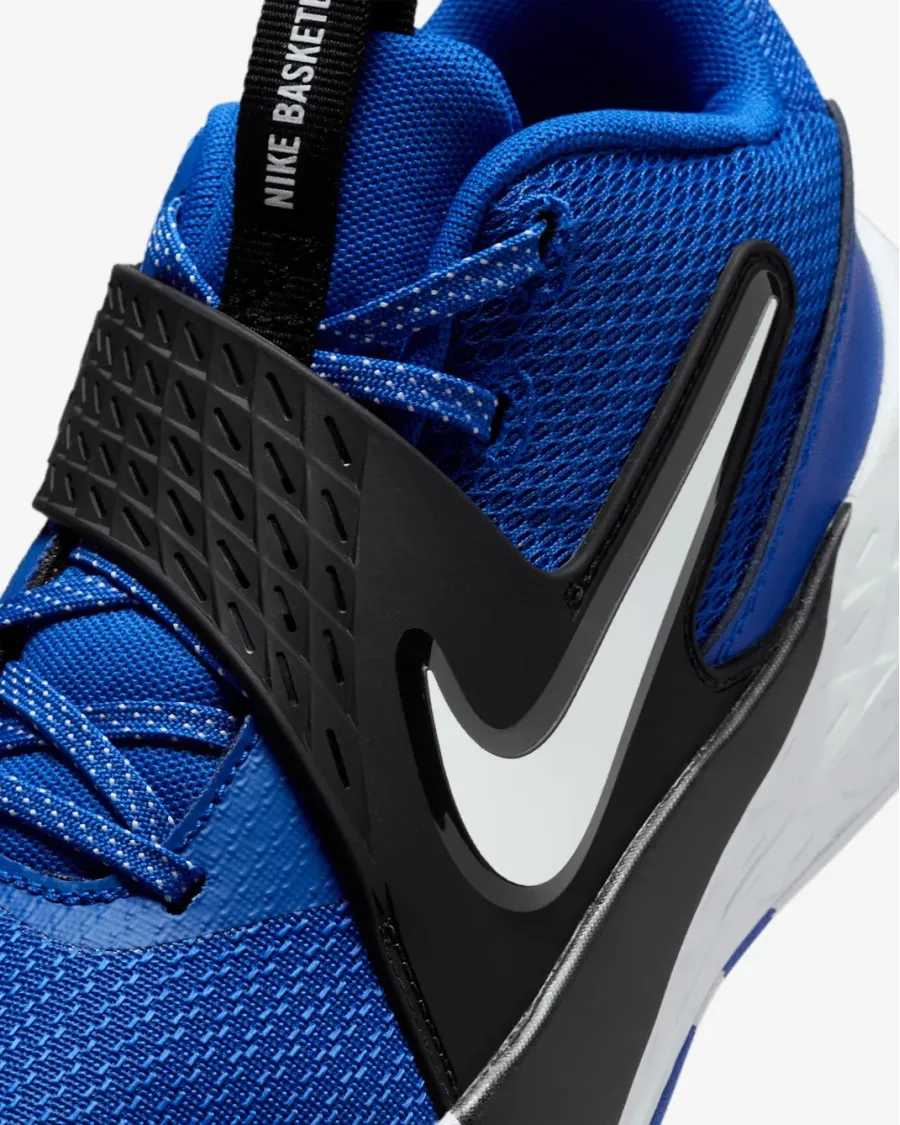 Кросівки Nike Team Hustle D 12 HF6279-400