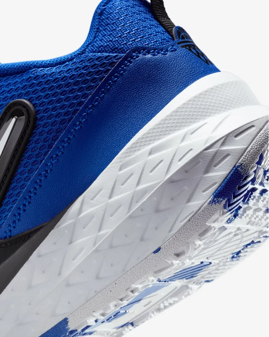 Кросівки Nike Team Hustle D 12 HF6279-400