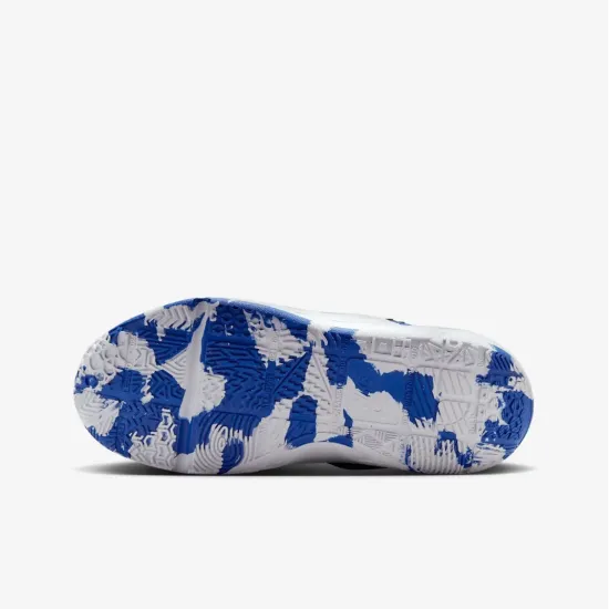 Кросівки Nike Team Hustle D 12 HF6279-400