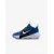 Кросівки Nike Team Hustle D 12 HF6280-400