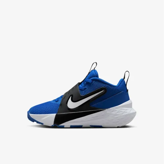 Кросівки Nike Team Hustle D 12 HF6280-400