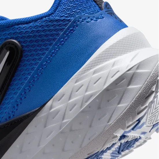 Кросівки Nike Team Hustle D 12 HF6280-400